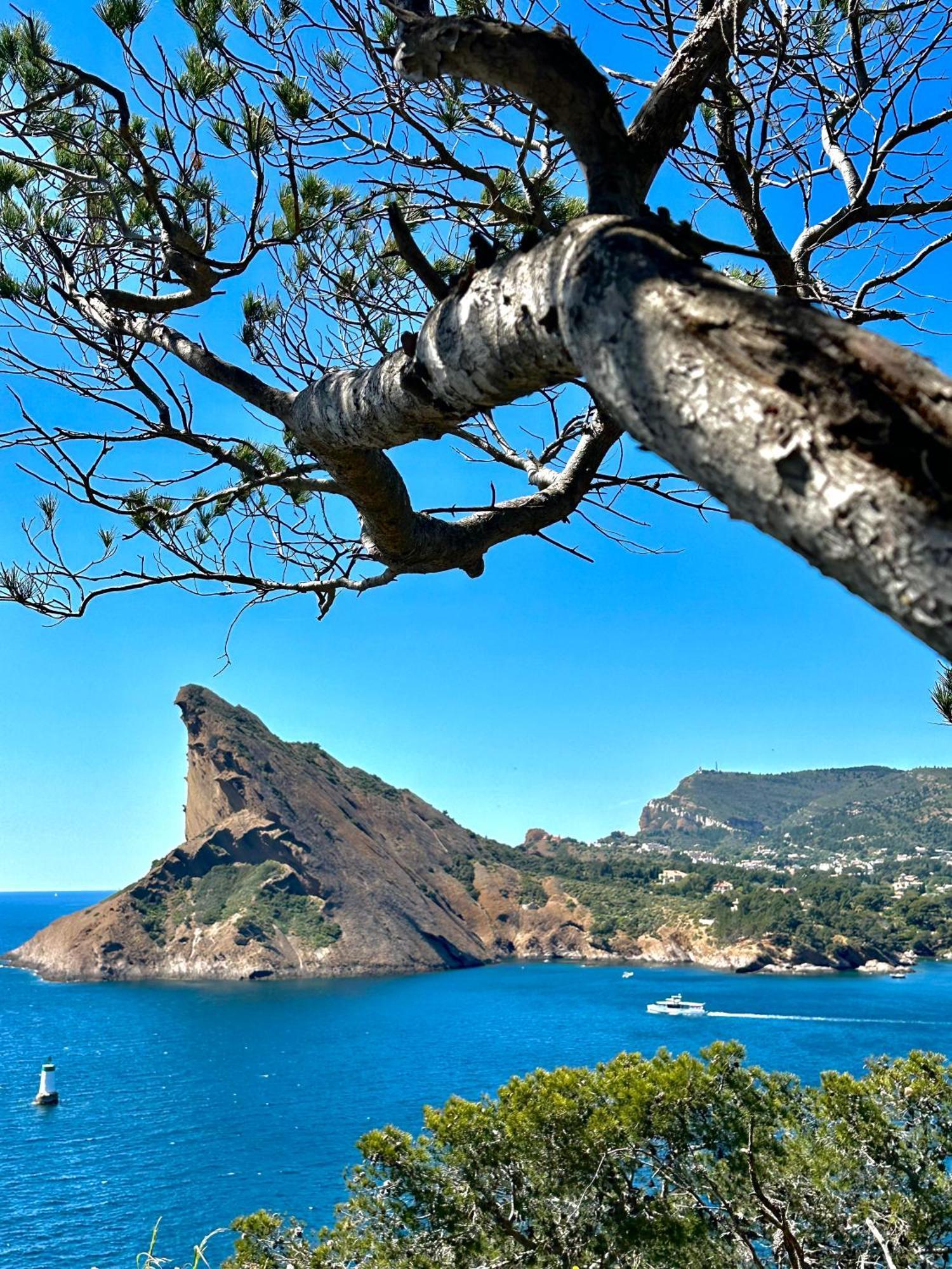 L'Alceste La Ciotat Dış mekan fotoğraf